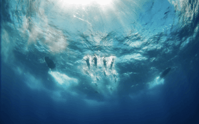 Epic Swim Maui – Circumnavigation Stage Swim Data